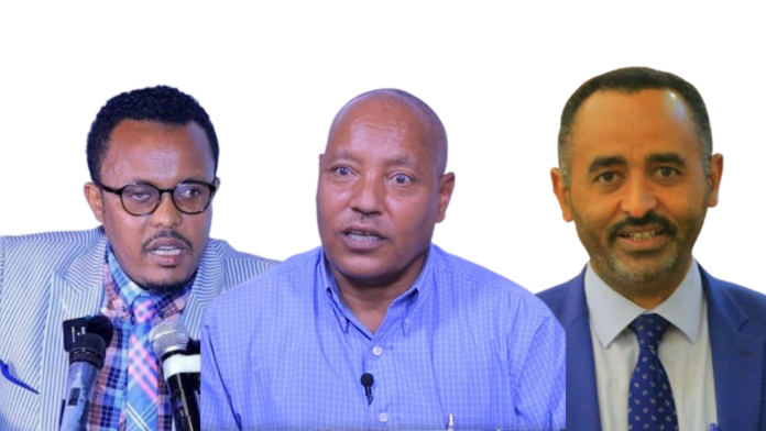 ትብብር ለኢትዮጵያ አንድነትን(5)