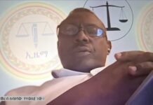 የኢዜማ ከፍተኛ አመራር አቶ ግርማ ሰይፉ ለተቃዋሚ ፓርቲዎች በተለቀቁ የምርጫ ክልሎች ጉዳይ ከብልፅግና ፓርቲ ጋር “የተወሰኑ ንግግሮች” መደረጋቸውን ገለጹ