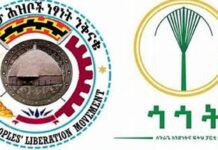 ተቃዋሚ ፓርቲዎች ክምርጫው ዕለት ጀምሮ ለወከባ መጋለጣቸውን ገለጹ