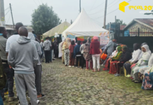 በአዲስ አበባ፣ በባሕር ዳር እና በሐረር የምርጫ ጣቢያዎች ከማለዳው 11፡30 ጀምሮ ረዣዥም የመራጮች ሰልፎች ተስተውለዋል፤ የፖለቲካ አመራሮች በጠዋት ድምፅ ሰጥተዋል
